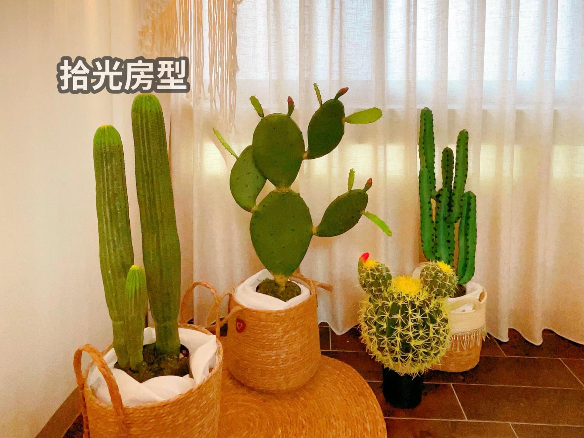 Tainan Twin cities Homestay雙城包棟民宿 外观 照片